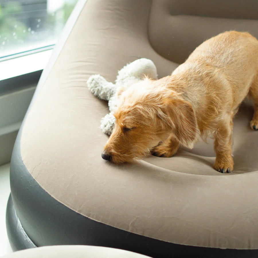 DUERME UNA SIESTA PLACIDA EN MENOS DE 2 MINUTOS